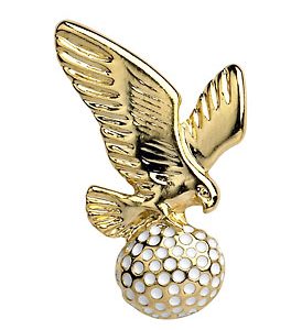 Flying Eagle Pin