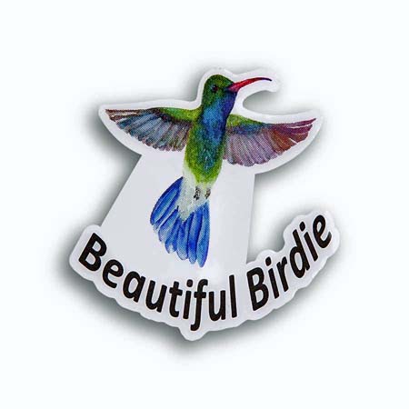 Humming Bird Birdie Pin